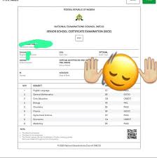 Updates on NECO 2025 SSCE Results: What Students Should Know