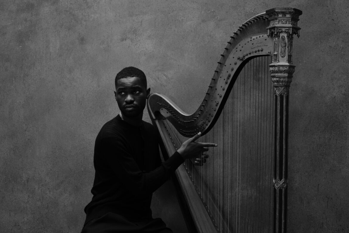 The Boy Who Played the Harp: A Musical Inspiration