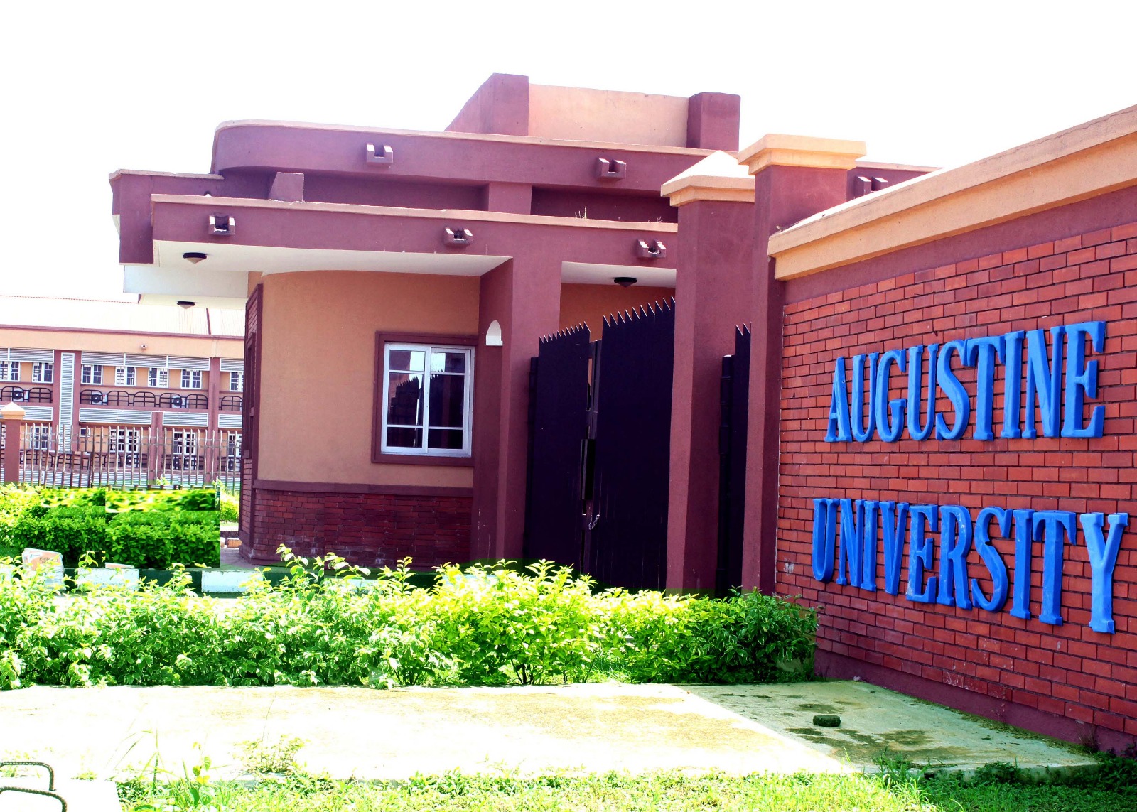 Exploring Augustine University: Significance and Opportunities