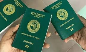 Understanding the NIS Single Travel Emergency Passport