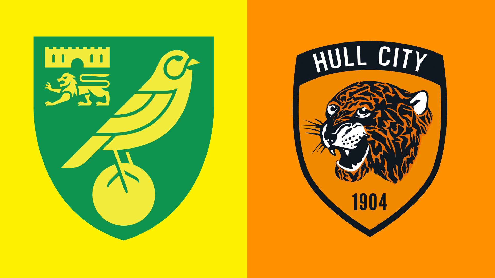 Norwich City vs Hull City: Match Highlights and Analysis