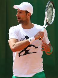 The Rise and Impact of Novak Djokovic in Tennis