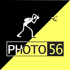 The Role of Photos in the Modern Society