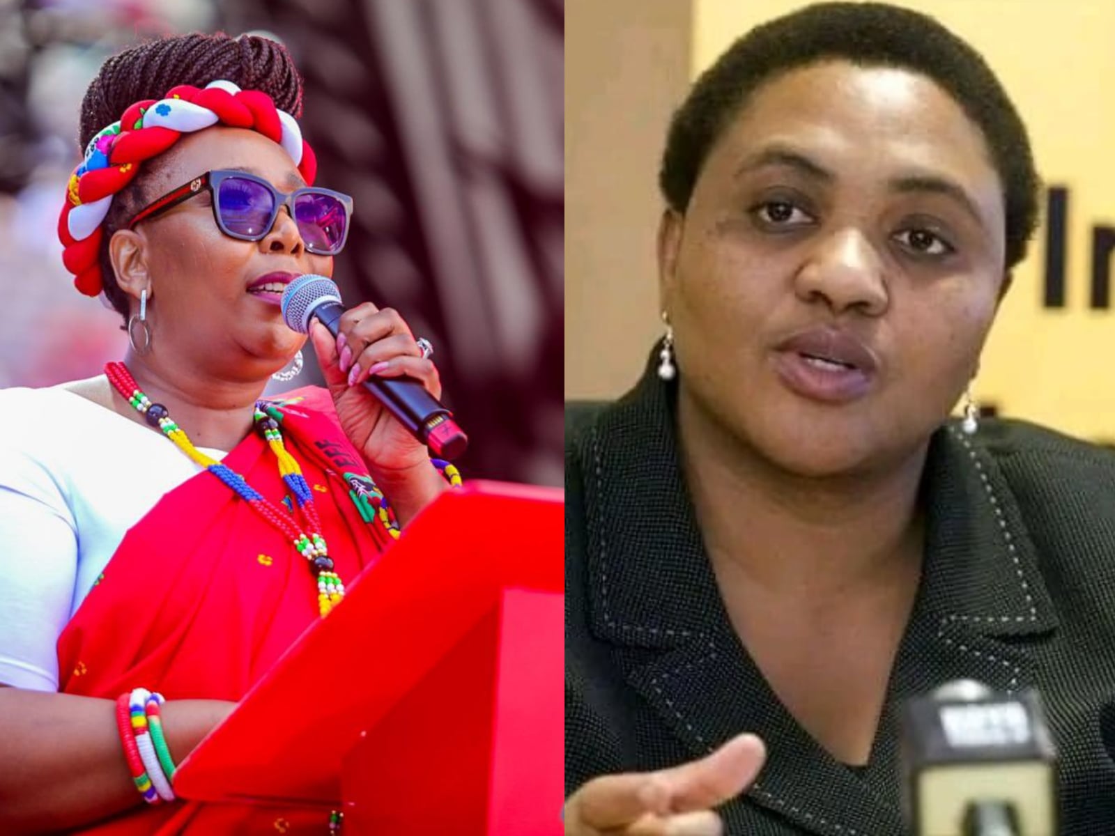 Thoko Didiza’s Impact on Nigerian Politics
