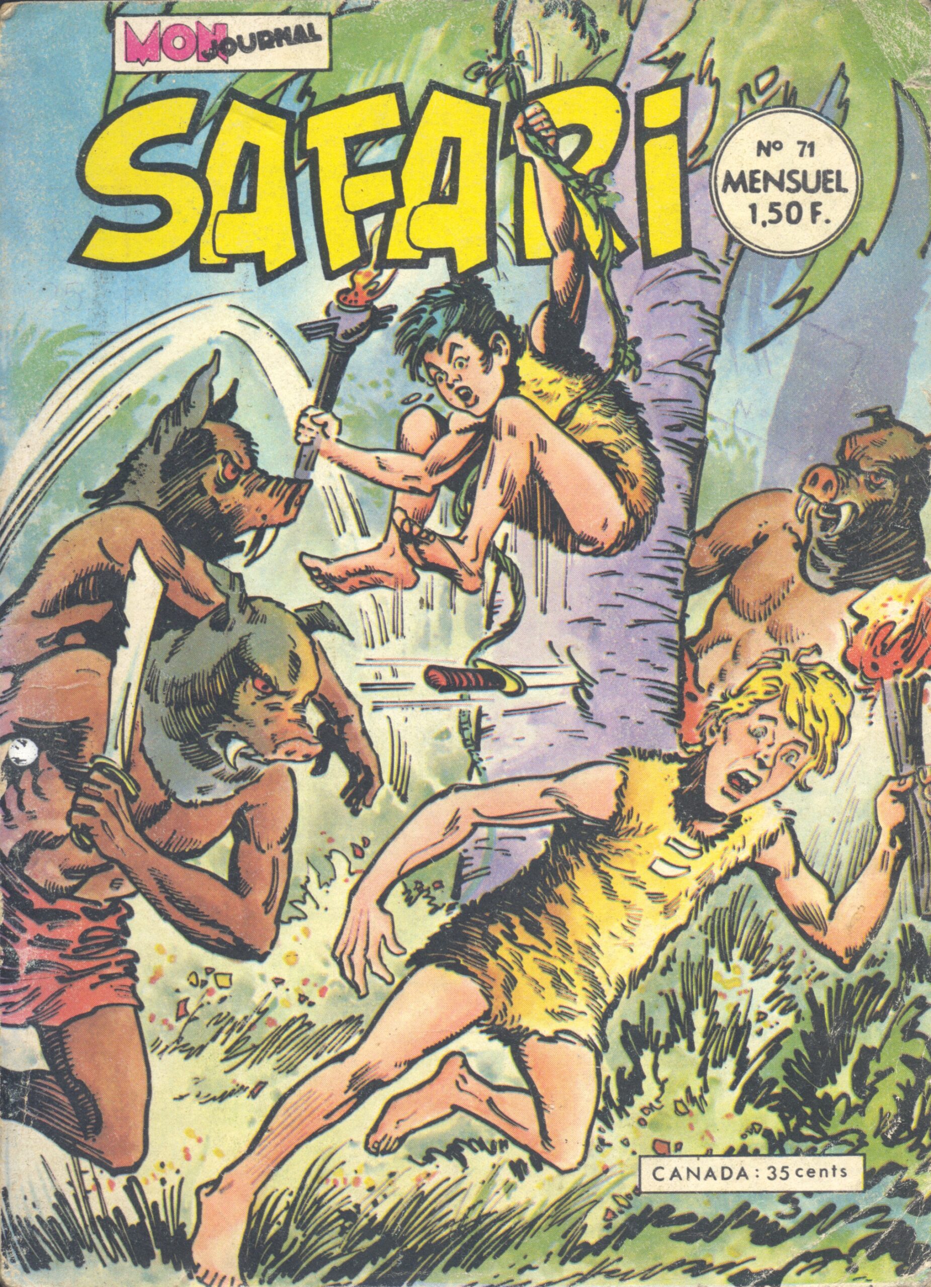 Discover the Wonders of Olivier Safari