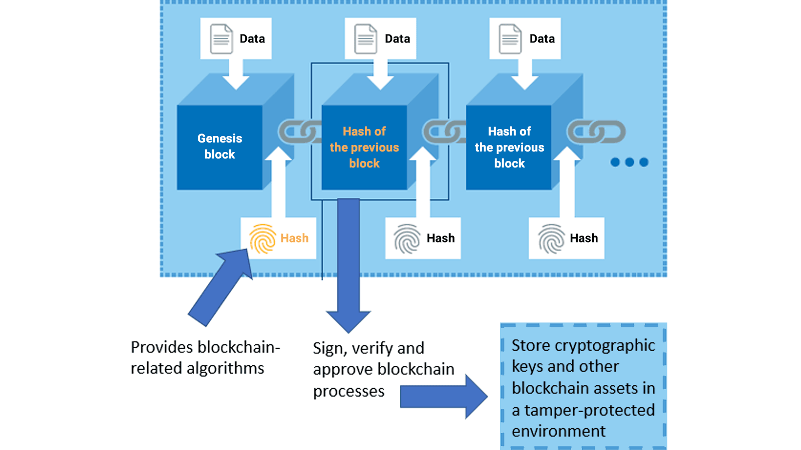 Understanding Blockchain Applications in Various Industries