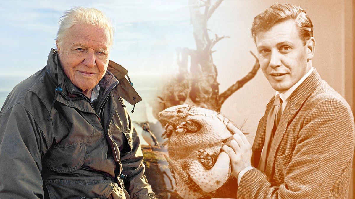 David Attenborough: The Voice of Nature Conservation