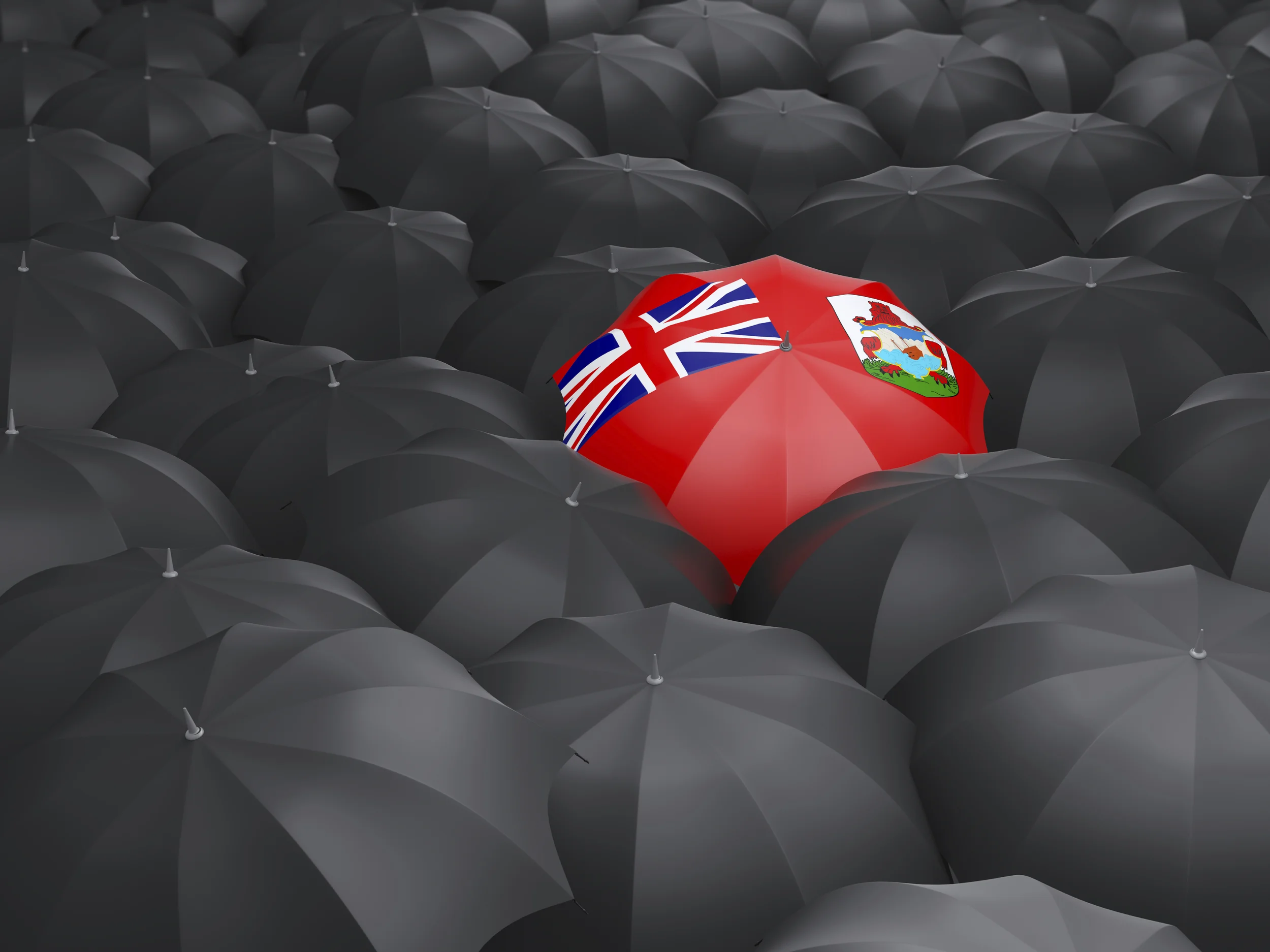 Exploring Why Expats Are Renouncing British Citizenship