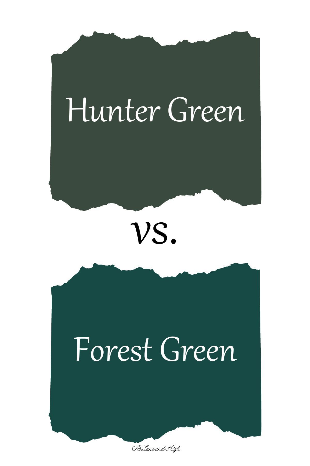Comparing Forest Green and Carlisle United: Key Highlights