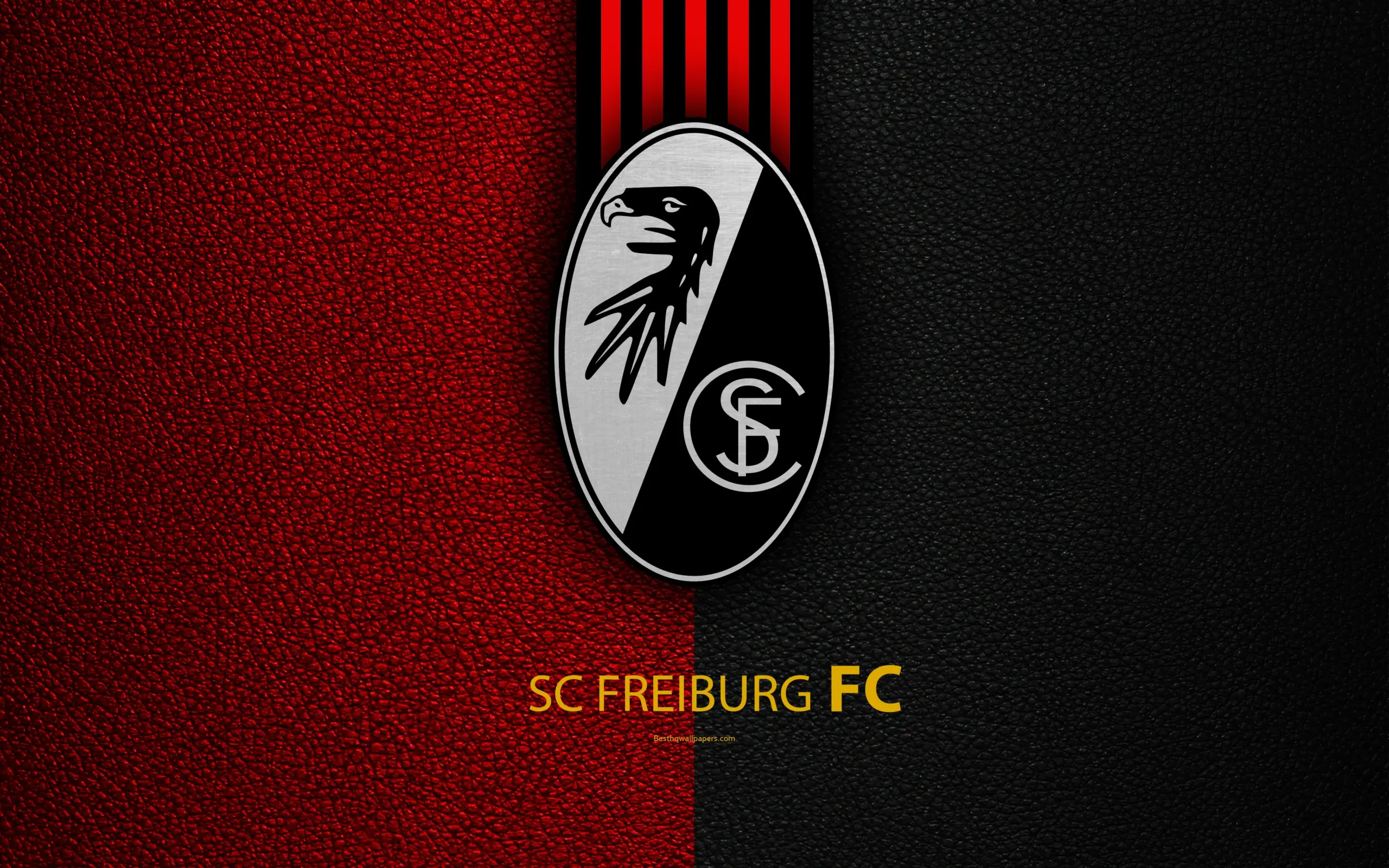Freiburg FC: A Prominent Football Club in Germany