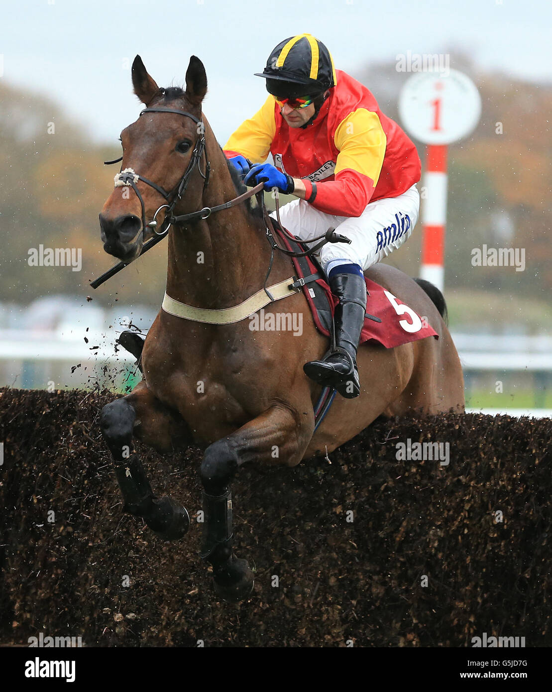 All About Haydock Races: History, Events, and Significance