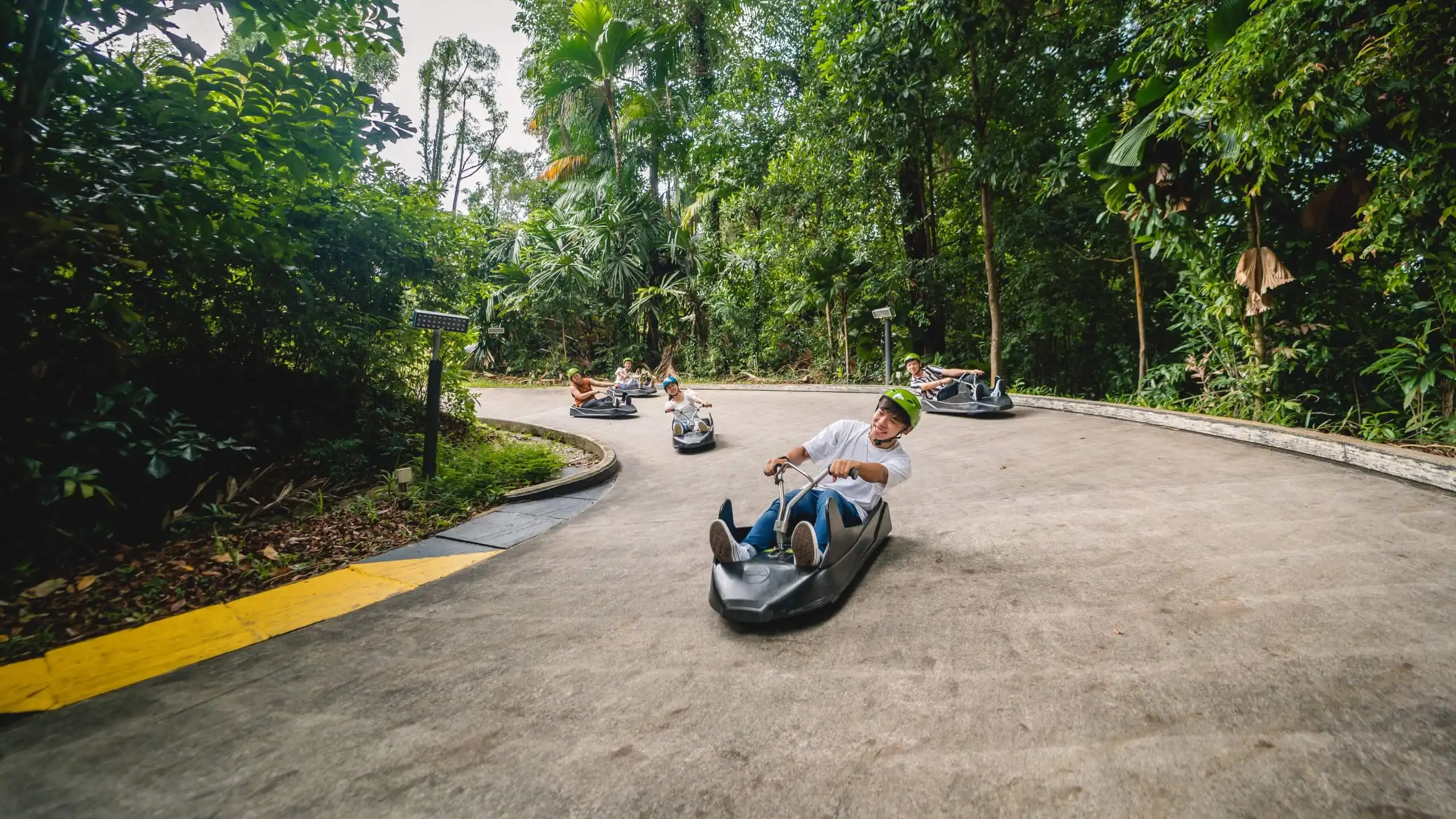 Exploring the Thrills of Luge: A Winter Sport Like No Other
