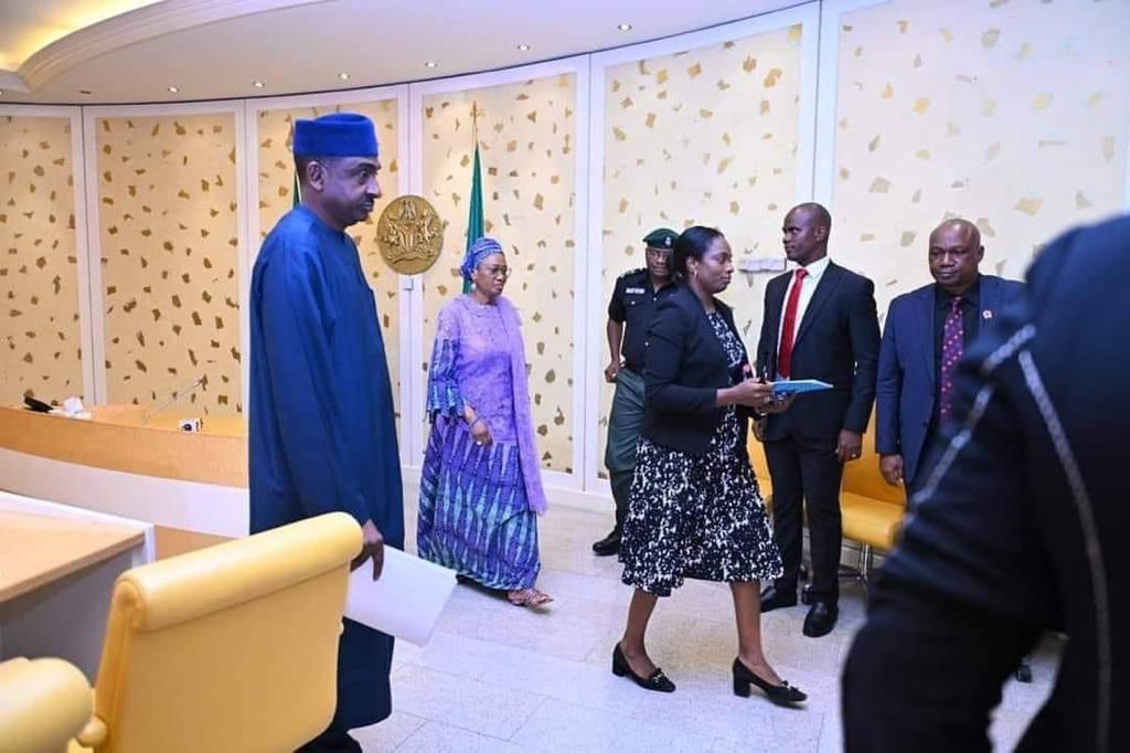 The Influential Role of Remi Tinubu in Nigerian Politics