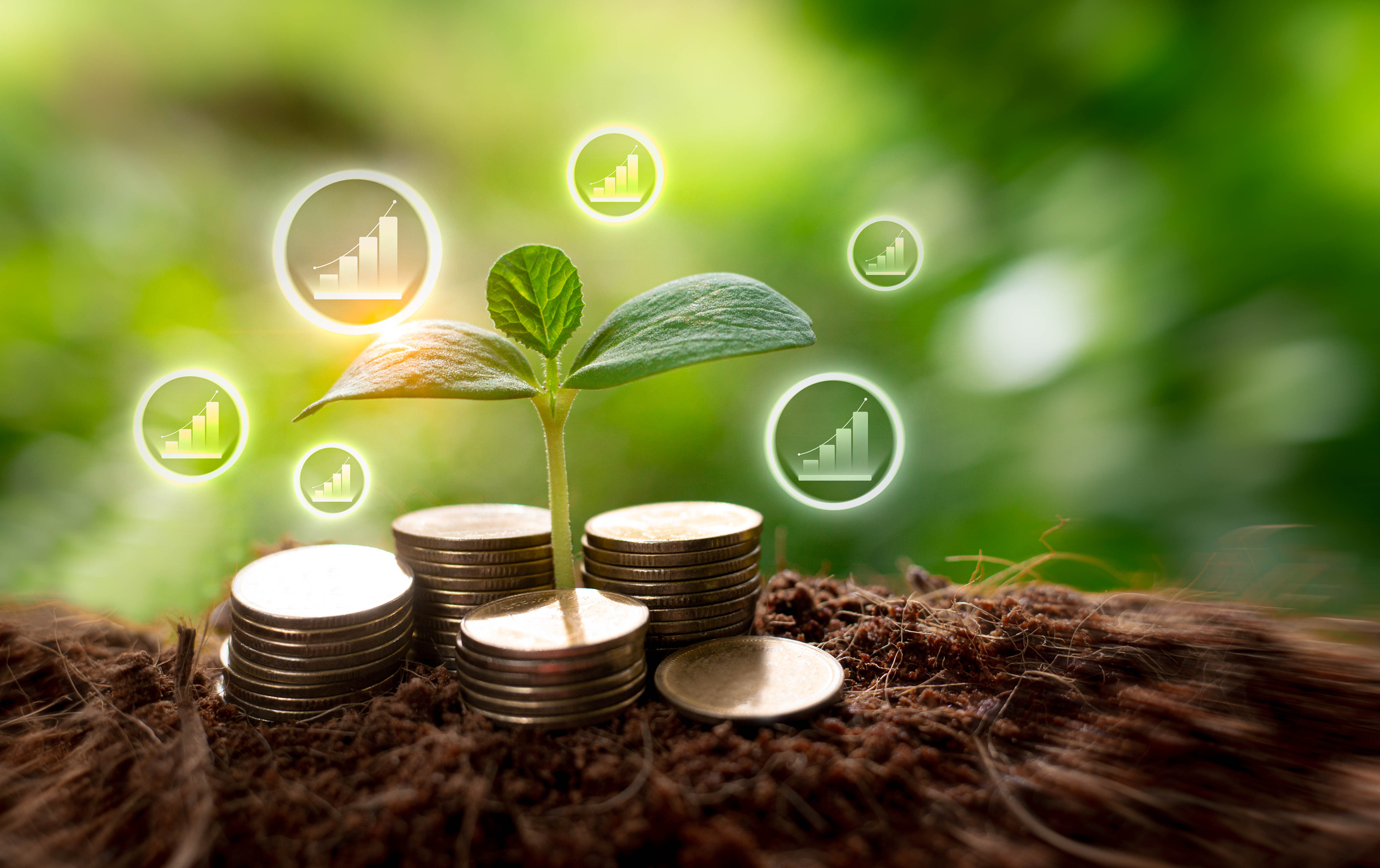 Understanding Schroders Investment Management