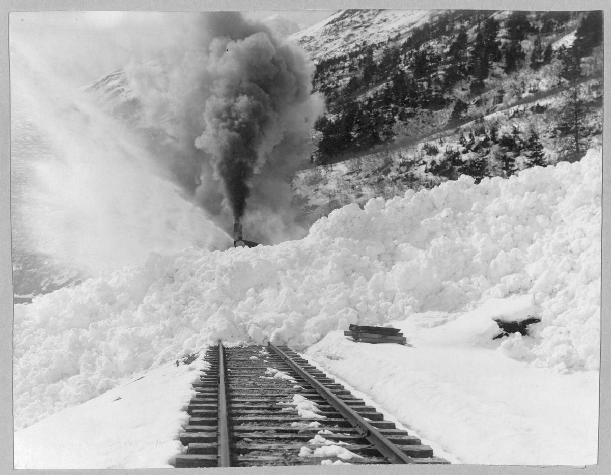 Recent Swiss Train Avalanche: An Overview