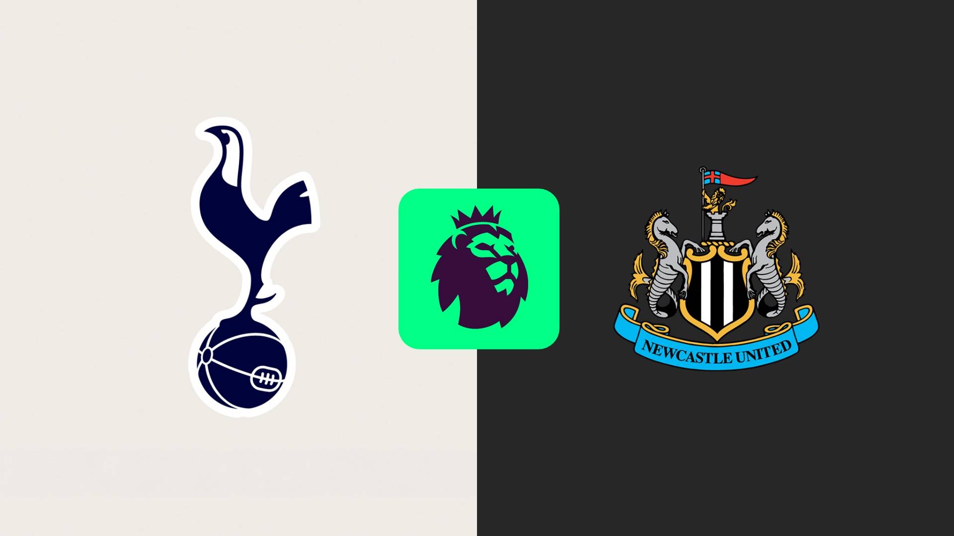 Tottenham vs Newcastle: A Match to Remember