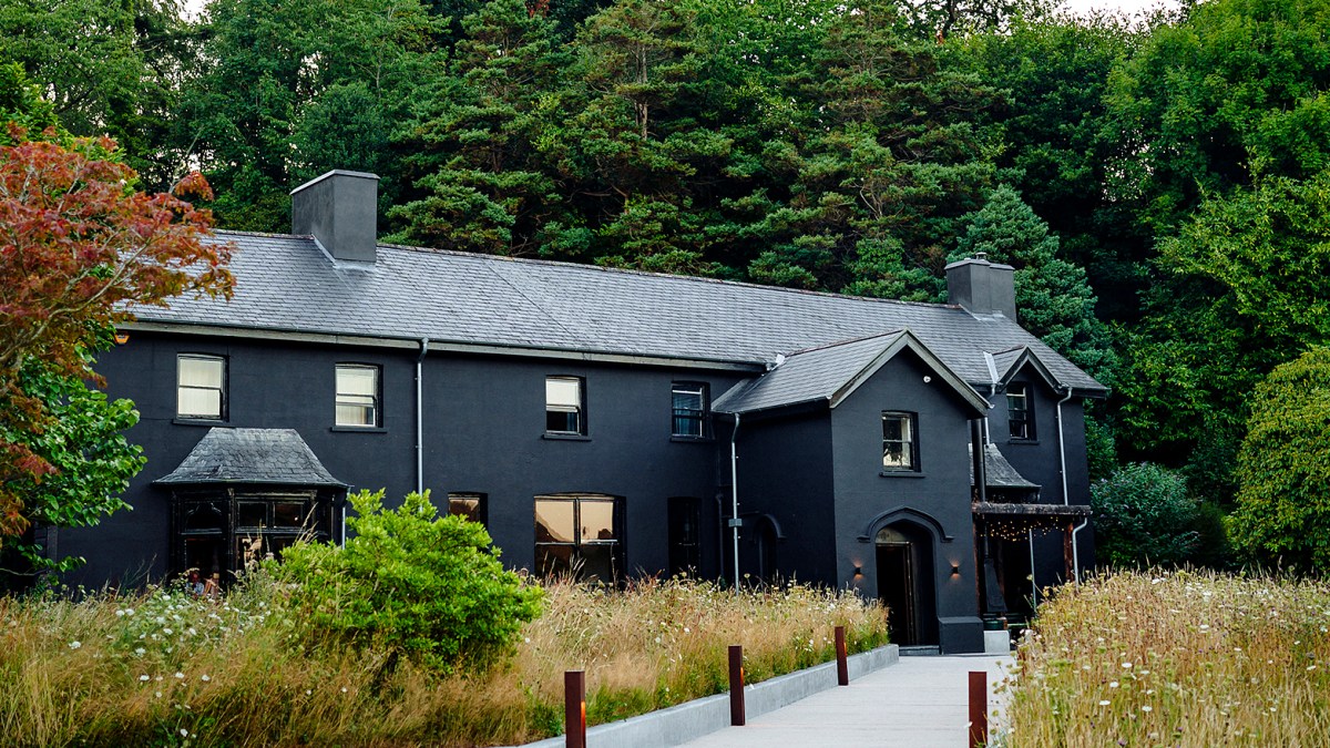 A Visit to Ynyshir Restaurant: A Culinary Delight