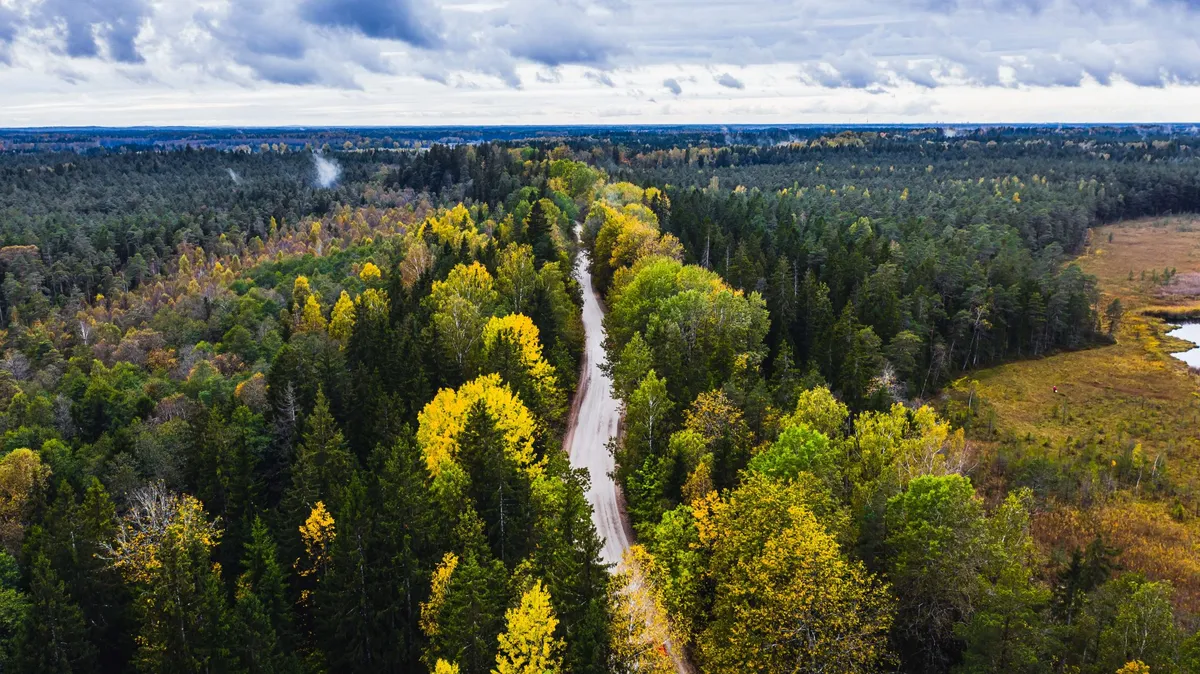 latvia — NG news