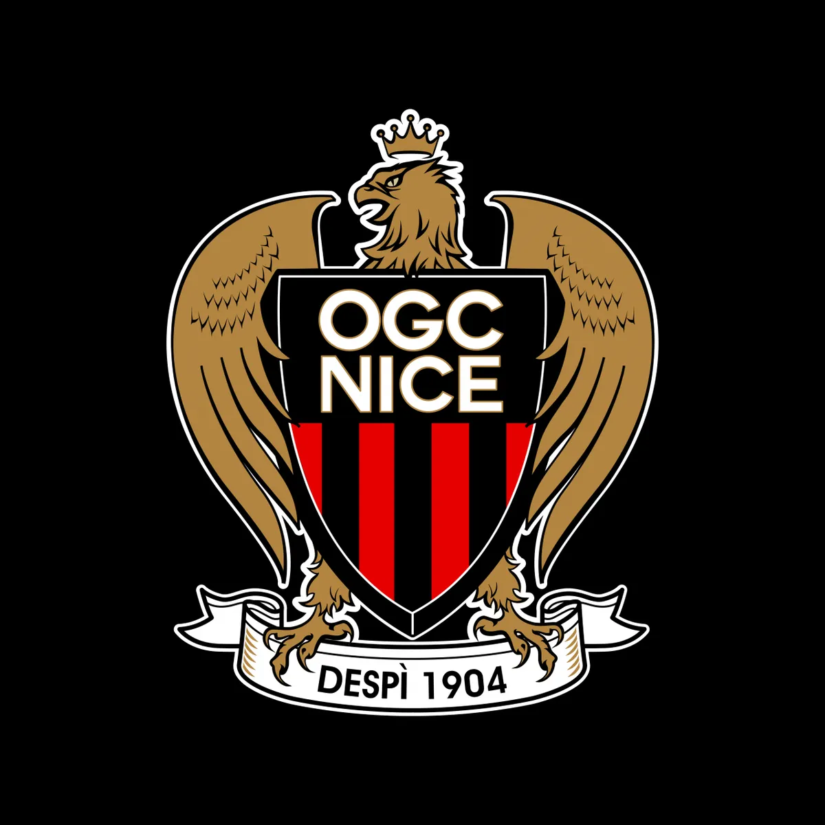 nice fc — NG news