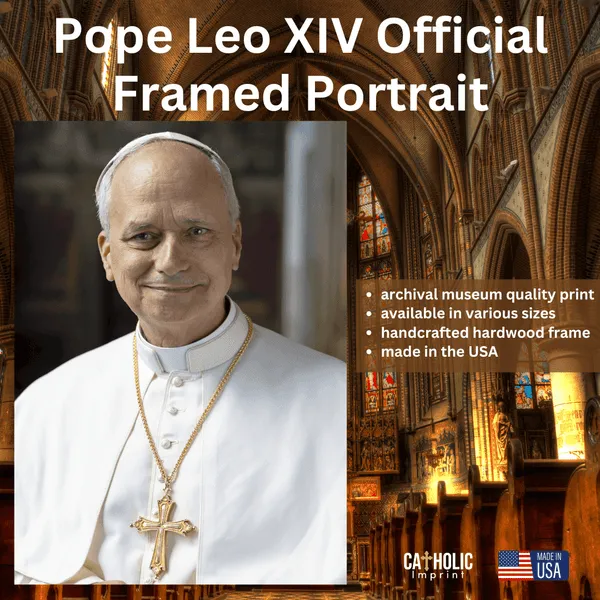 pope — NG news
